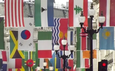 Read more about the article Best National Flag (unique)